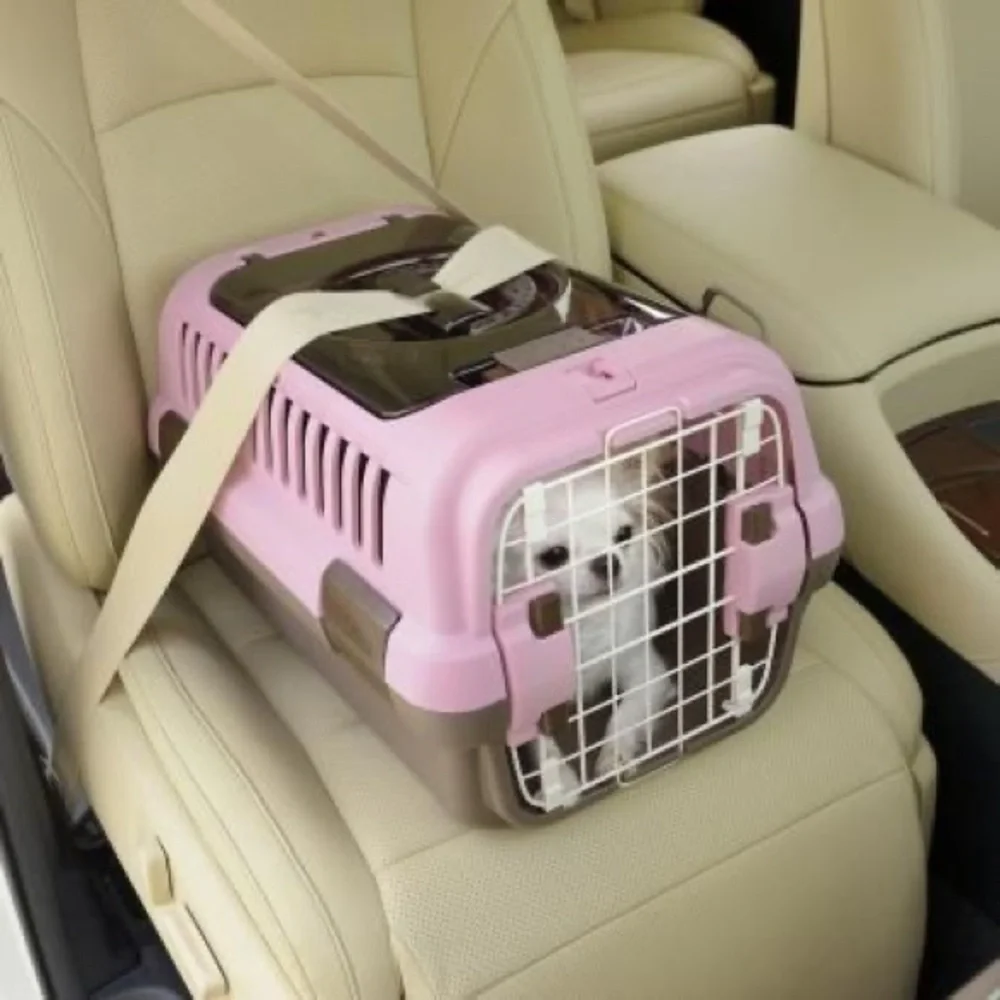 Richell USA Double Door Pet Carrier - Cat or Small Dog